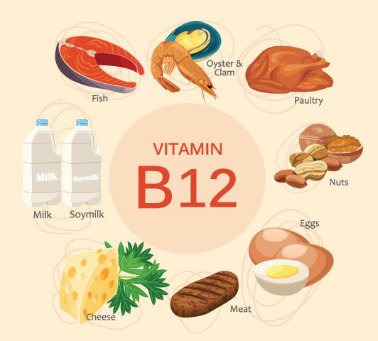 Vitamin B12 cho phép cơ thể đốt cháy nhiều calo, giảm chất béo dự trữ.