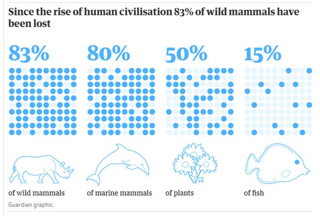 Con người đã giết phần lớn số sinh vật cả trên cạn lẫn dưới nước.