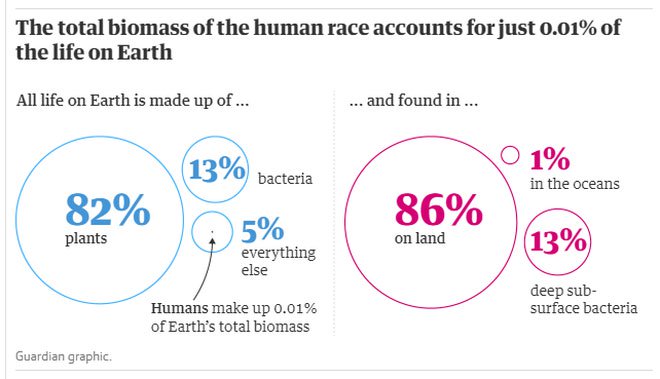 Dù đứng đỉnh chuỗi thức ăn và sử dụng tới 86% diện tích đất nhưng con người lại chỉ chiếm 0,01% tổng số giống loài.