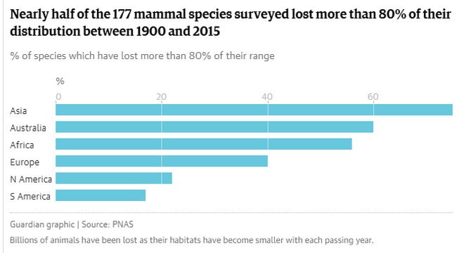 Trong khoảng 1990-2015, gần một nửa trong số 177 loài động vật có vú đã giảm số lượng hơn 80%.