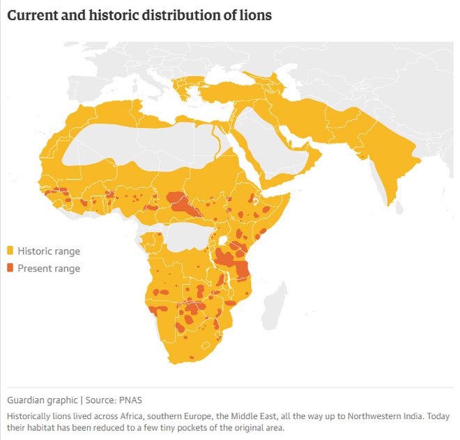 Diện tích sinh hoạt của loài hổ Châu Phi trước và nay.