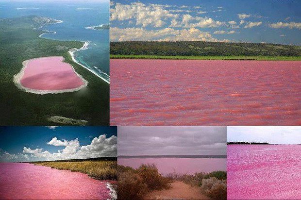 Nước hồ Hillier có màu hồng như sữa lắc vị dâu tây