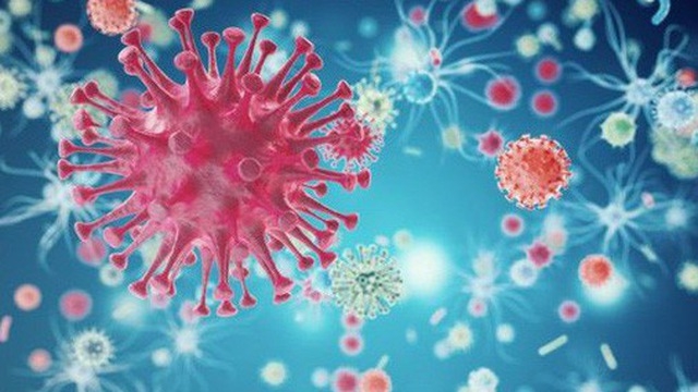 Các virus thuộc họ Retrovirus như HIV đã tồn tại cùng với tổ tiên của động vật có xương sống - Ảnh: Internet