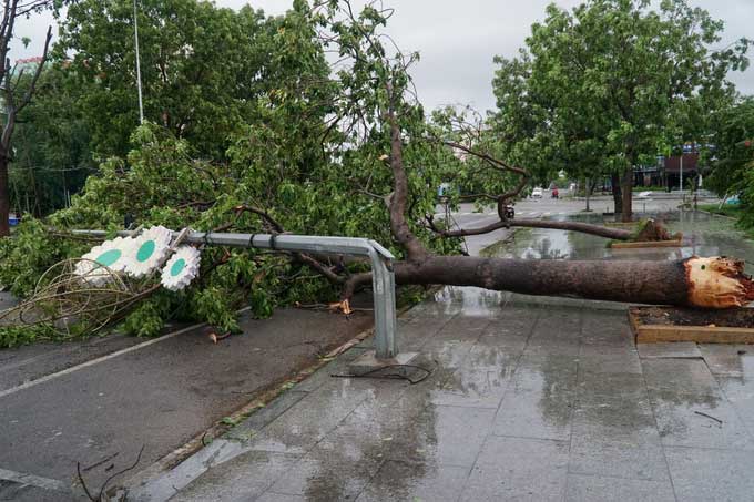 Cột điện, cây xanh bị gió bão quật đổ trên đường phố Quy Nhơn.