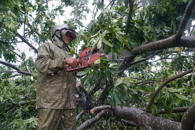 Công nhân môi trường TP Quy Nhơn dọn cây xanh, khắc phục sự cố sau bão.