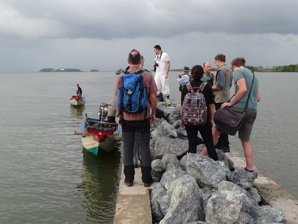 ViWat Mekong tìm hiểu các biện pháp bảo vệ bờ biển.