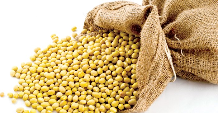 Tại một số nơi ở Ai Cập, người ta cúng các loại hạt thu hoạch được như: đậu tương, đậu cove...
