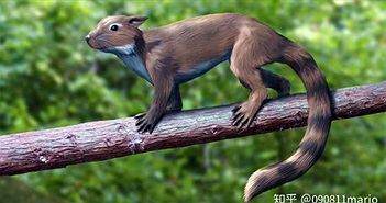Tìm thấy dấu vết của động vật có vú trên hóa thạch của loài khủng long Mamenchisaurus Tìm thấy dấu vết của động vật có vú trên hóa thạch của loài khủng long Mamenchisaurus