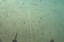 Các nhà khoa học bối rối trước những hố bí ẩn liên tục tìm thấy dưới đáy Đại Tây Dương sâu thẳm
