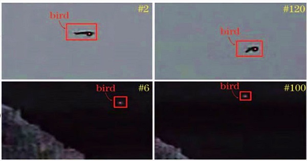 Các nhà khoa học Trung Quốc chế tạo tia laser đuổi chim để bảo vệ sân bay