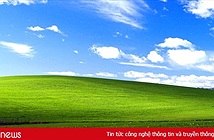 Hình nền huyền thoại trên Windows XP một thời: Được Microsoft trả hơn 100.000 USD vào năm 2000, đến nay vẫn xanh tốt như ngày nào