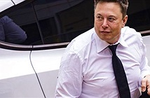 Tesla chịu trận vì Elon Musk