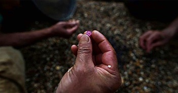 Sự thật về kinh đô ngọc bích: Nơi tử thần rình rập Sự thật về kinh đô ngọc bích: Nơi tử thần rình rập