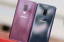 Samsung sẽ sớm ra mắt Galaxy S10 vào tháng một năm sau