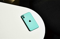 iPhone 11 giảm giá sâu tại Việt Nam, 14 triệu đã có thể mua