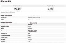iPhone 6S/6S Plus sẽ sở hữu màn hình độ phân giải siêu cao