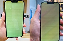 Nhiều iPhone 13 Pro Max bất ngờ gặp lỗi màn hình xanh tại Việt Nam