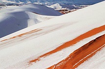 Tuyết rơi phủ trắng sa mạc Sahara