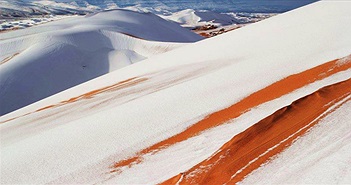 Tuyết rơi phủ trắng sa mạc Sahara Tuyết rơi phủ trắng sa mạc Sahara