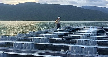 Dự án điện mặt trời Đa Mi sử dụng phao nổi "Made in Vietnam" Dự án điện mặt trời Đa Mi sử dụng phao nổi "Made in Vietnam"