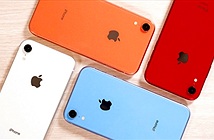 iPhone XR giá từ 11,5 triệu đồng có còn “chất” trong Tết Canh Tý?