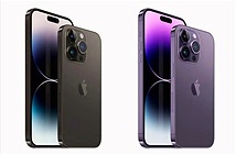 iPhone 14, iPhone 14 Pro Max có những màu nào?