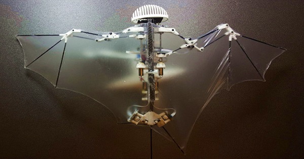 Chế tạo drone lấy cảm hứng từ dơi, có thể tự bay và tự ghi hình