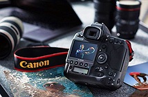 Canon ra mắt máy ảnh full-frame đầu tiên có khả năng quay 4K không crop