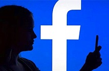 Đến lượt Áo yêu cầu Facebook xóa bỏ thông điệp gây thù hận