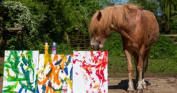 Lộ "bí kíp" khiến ngựa thông minh vẽ được tranh tài tình