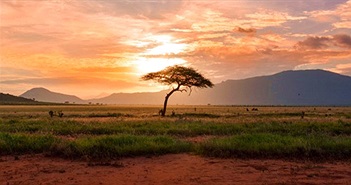 Đặc điểm nổi bật của khí hậu châu Phi là gì?