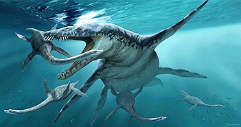 Siêu cá mập siêu bạo chúa Megalodon trong The Meg có thực sự từng tồn tại
