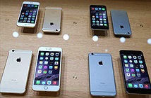 Apple chưa thể yên trong vụ làm chậm iPhone