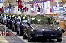 Tesla hủy 3 sự kiện tuyển dụng trực tuyến tại Trung Quốc