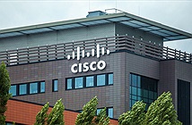 CEO bị bắt vì bán 1 tỷ USD hàng Cisco nhái trên Amazon, eBay