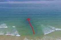 Chuyên gia lý giải về thực hư thông tin dòng chảy xa bờ có thể cuốn trôi người tắm đang lan truyền rầm rộ trên MXH