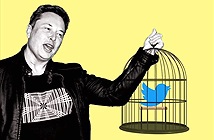 Lý do Elon Musk khó thành công với Twitter