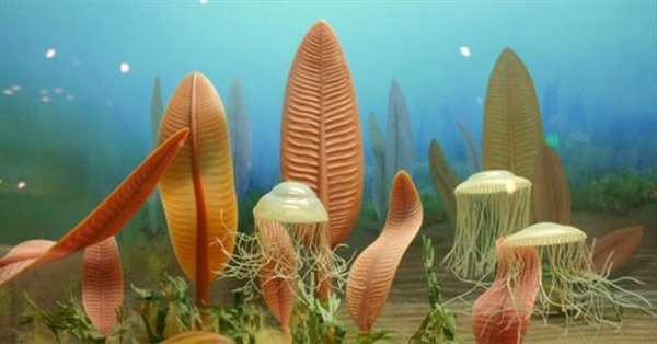 Phát hiện 4 hóa thạch sinh vật biển nửa tỷ năm tuổi ở khu vực đập Tam Hiệp