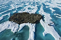 Đảo phía bắc xa nhất thế giới thực chất là tảng băng bẩn