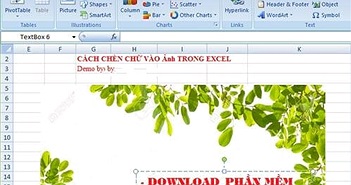 Hướng Dẫn Cách Chèn Viết Chữ Lên Ảnh Trong Excel