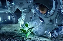 Các nhà khoa học lần đầu trồng được cây trên đất Mặt Trăng