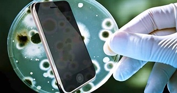 Điện thoại mang nhiều vi khuẩn gấp 10 lần bồn cầu