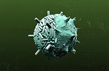 Công nghệ chế tạo pin từ… virus có gì đặc biệt?