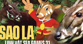 Gặp "cha đẻ" của linh vật sao la - loài thú bí ẩn nhất thế giới trở thành biểu tượng của SEA Games 31
