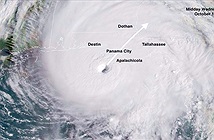 Bão cyclone, bão typhoon và bão tropical storm có gì khác biệt?