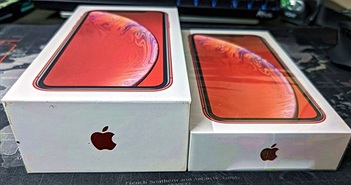 Apple tuyên bố tiết kiệm 861.000 tấn kim loại nhờ không tặng củ sạc cho iPhone
