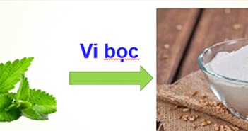 Sản xuất bột tinh dầu bằng kỹ thuật sấy phun Sản xuất bột tinh dầu bằng kỹ thuật sấy phun