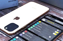 NÓNG: Thông tin iPhone 11 được bật mí thông qua iOS 13 beta