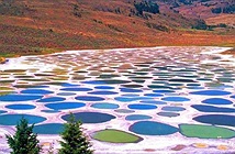 Tại sao hồ Polka Dot của Canada có thể là một hồ bơi có khả năng chữa bệnh