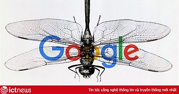 Không chịu nổi áp lực, Google chấm dứt dự án tìm kiếm tại Trung Quốc?